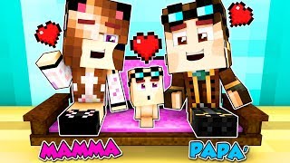 LYON E ANNA HANNO UN FIGLIO! - Casa di Minecraft #9