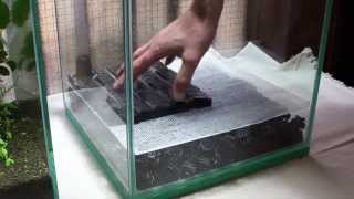 実験水槽その１　底面式で沈殿層がある水槽を立ち上げてみた　Undergravel Filter Aquarium Setup
