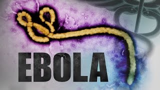 Ebola Outbreak in the US