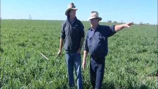 NSW Farmer of the Year Winner - Michael O'Brien, Walgett