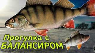 ✔️Окунь, на балансир зимой, клев в глухозимье. Зимняя рыбалка!