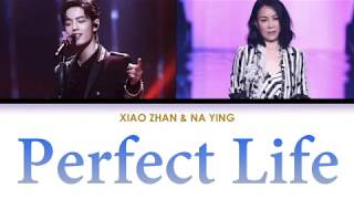 肖战 Xiao Zhan & 那英 Na Ying '完美生活 / Perfect Life' Our Song | English/Chinese/Pinyin Lyrics