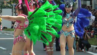 こうべっこ KOBECCO  神戸まつり２０１８ SAMBA CARNIVAL (サンバカーニバル)