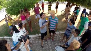 Vida de Urso - Carnaval 2015