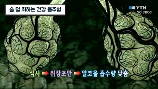 술 덜 취하는 건강 음주법 / YTN 사이언스