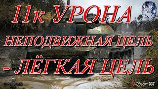 11к урона • Неподвижная цель - лёгкая цель