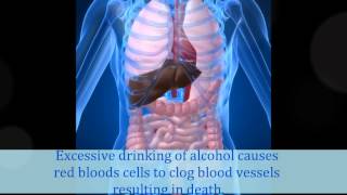Effects of Alcohol