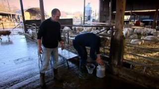 Making Halloumi - Gordon Ramsay