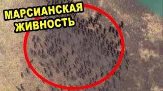 Теперь - все серьезно как никогда!!! На Марсе происходят весьма серьёзные события!
