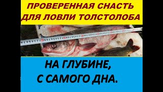 Самая уловистая оснастка для ловли толстолобика со дна.Ловля на технопланктон  или гидропланктон.