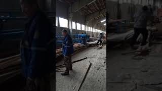 Горбыльная линия