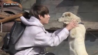 BTS (방탄소년단) Plays With Pets