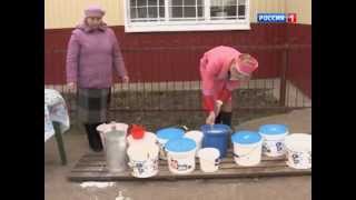 Евгений Кузнецов в программе "Сельское утро" на "России 1"