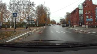 В Ханты-Мансийске даже собаки соблюдают ПДД