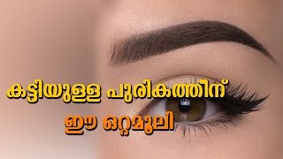 കട്ടിയുള്ള പുരികത്തിനു ഇ ഒറ്റമൂലി | How To Grow Eyebrows Faster And Thicker Naturally | Easy Tips