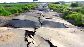 Убитая дога в хлам "Отличные дороги" excellent road