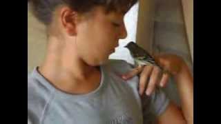 mullet de chardonneret apprivoiser par des enfants