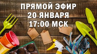 Прямой эфир. 20 января в 17:00 МСК