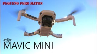 Dji Mavic MINI, El drone de 249 gramos. Dji Mavic Mini en español
