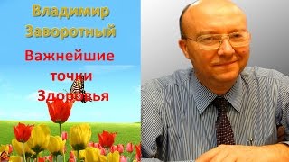 Владимир Заворотный. Важнейшие точки Здоровья...