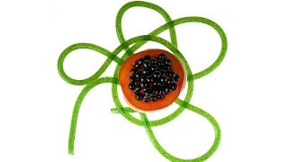Molecular Gastronomy - Arugula Spaghetti