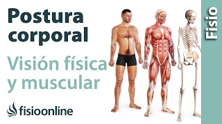 Postura corporal - Visión física y muscular