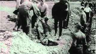Нацистские концентрационные лагеря / Nazi Concentration Camps (1945)