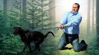 Куда ж ты меня тащишь? Кричал хозяин на свою собаку, не понимая, что она спасает ему жизнь!
