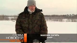 Маламуты с легкостью прокатят желающих  по заснеженной тундре.