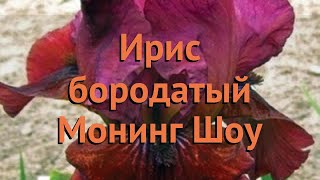 Ирис бородатый Монинг Шоу (iris) ? ирис Монинг Шоу обзор: как сажать саженцы ириса Монинг Шоу