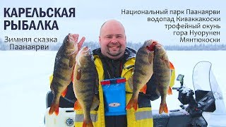 Карельская рыбалка. Зимняя сказка Паанаярви