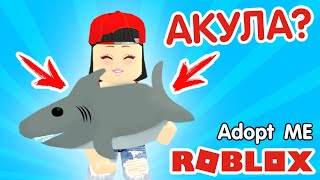 АКУЛА? Секреты Адопт Ми в Роблокс - Обновление Roblox Adopt Me