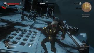 Witcher 3. "Последнее желание" или как убить джинна на адской сложности?