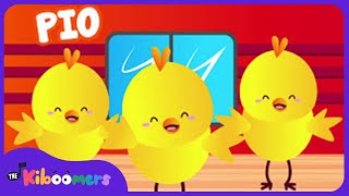 Los Pollitos Dicen Pio Pio | Canciones Infantiles | Niños | The Kiboomers | Musica para niños