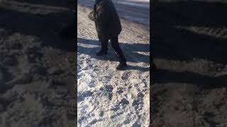 Дед каратист, гайцы и бабка с палкой