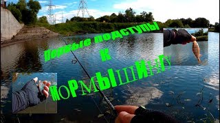 Мормышинг. Ловля на мормышку летом. Ловля окуня на спиннинг.