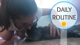 DAILY ROUTINE CON UN CONEJO - daily rabbit routine