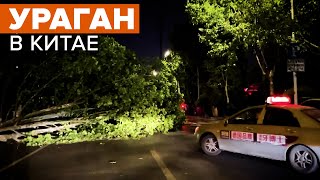 Поваленные деревья и обесточенные районы: на восток Китая обрушился мощный ураган