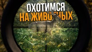 Охотимся на животных в The Hunter: Call of the Wild