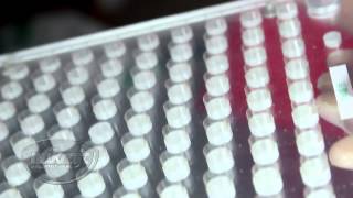 How to use a Nukraft manual capsule filling machine (NK-100): Instructional Video