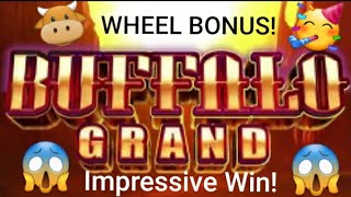 Buffalo Grand?Wheel Bonus?Crazy Fun!?...?????????‍♂️