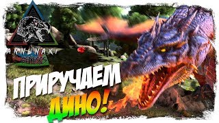 ARK: Survival Evolved [Аннунаки] #7 - Приручаем дино на стриме!