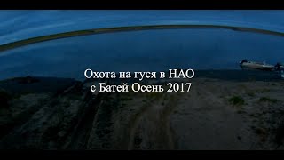 Охота на гуся в НАО с Батей осень 2017  Goose hunting