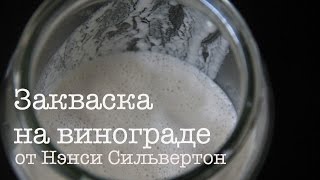 Как приготовить закваску для хлеба | Закваска на винограде