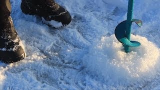 Соревнования по подледному лову