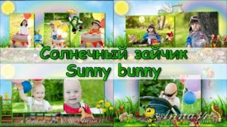 Солнечный зайчик | Sunny bunny |project ProShow Producer