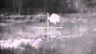 Thermal imaging sight Apex XD38