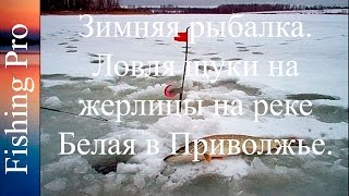 Зимняя рыбалка. Ловля щуки на жерлицы на реке Белая в Приволжье.