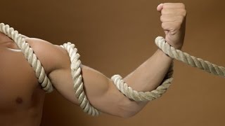 Препараты для потенции  Обзор препарата Маджик Стафф