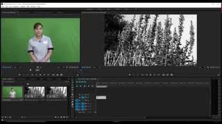[Pr Pro Tutorial] True Dectective Intro: Double Exposure in Premiere Pro Only